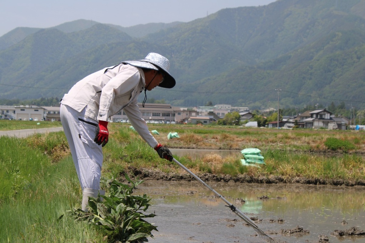 麦わら帽子の男性