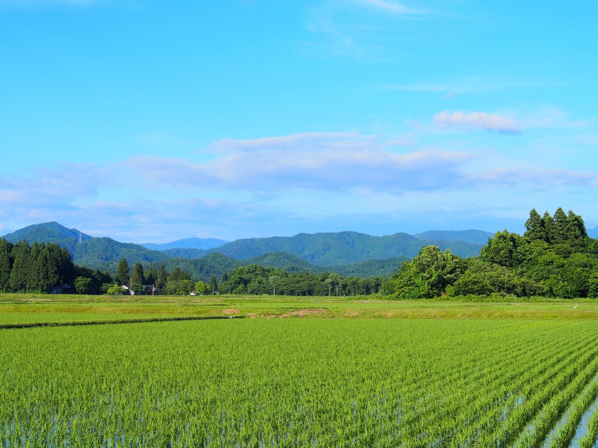 AdobeStock_116669778 (1)