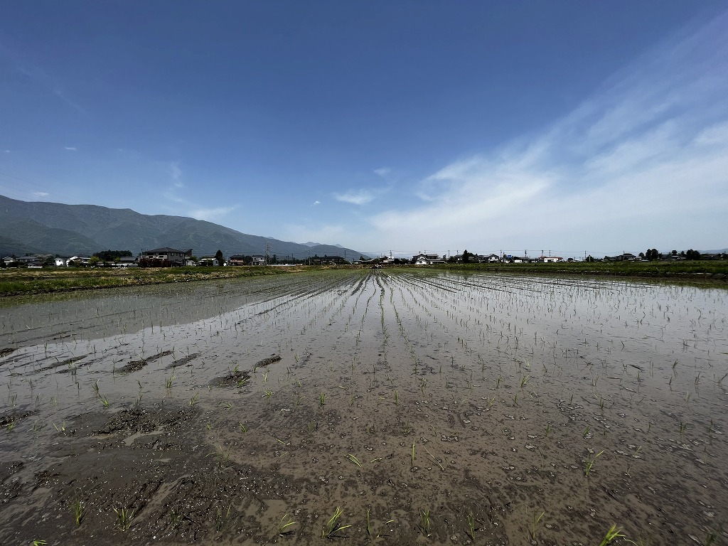 AdobeStock_107735734 (1)